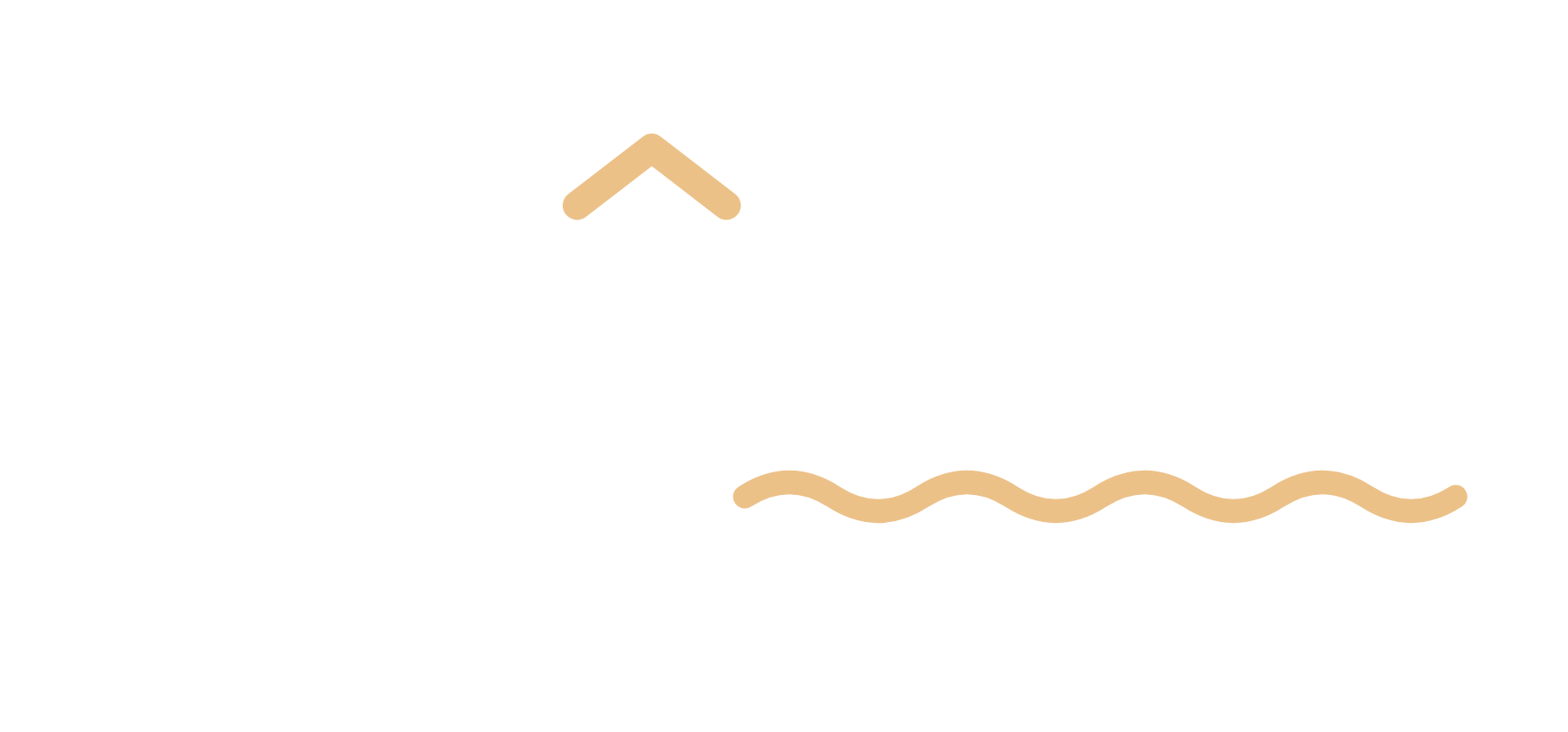 renowave